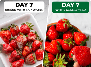 PRODUCE STAYS FRESH LONGER