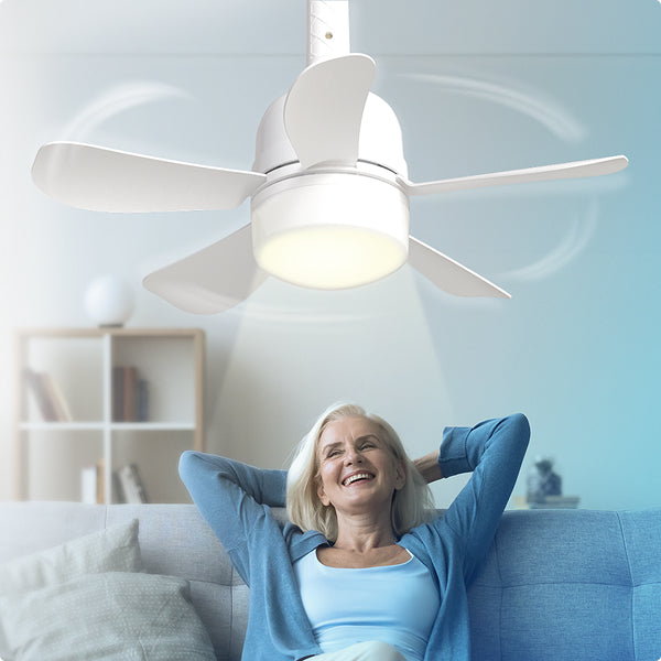 Wundercool Light Fan