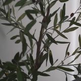 ZapShield Bug Killer™